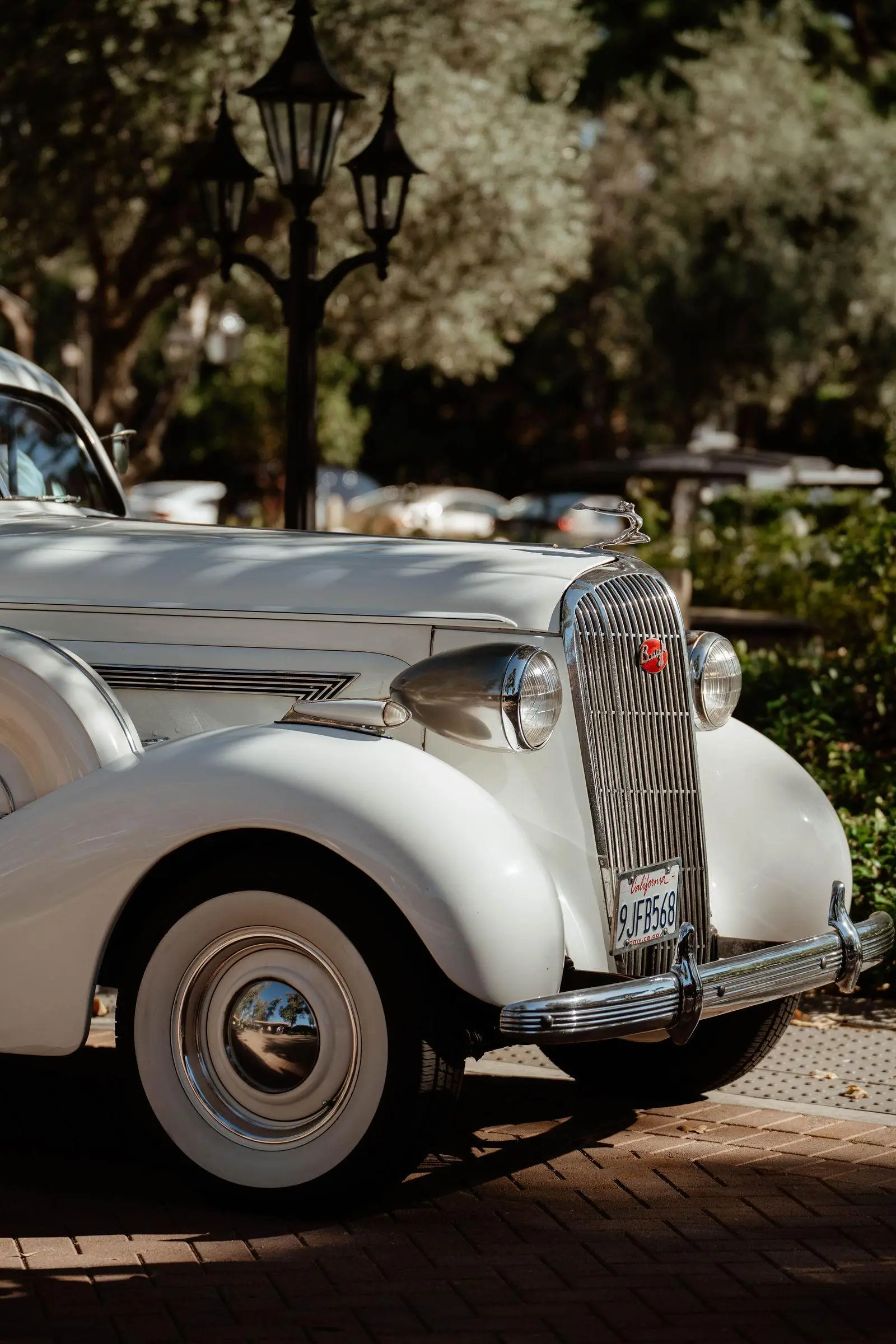 Rancho Santa Fe wedding photography by Cinematica Weddings, featured in Vanity Fair's summer campaign.